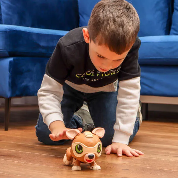 Scuppy - Robotic toy