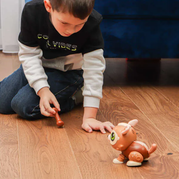 Scuppy - Robotic toy